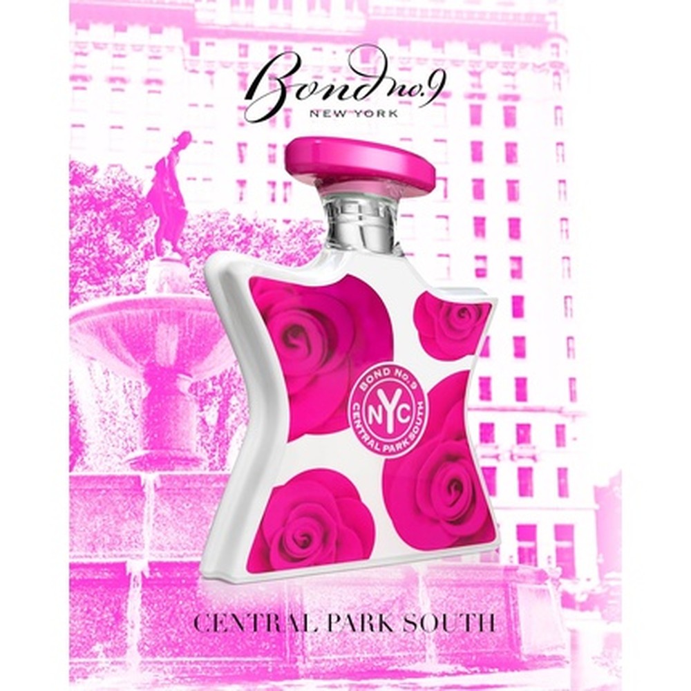 Central Park South - immagine 3