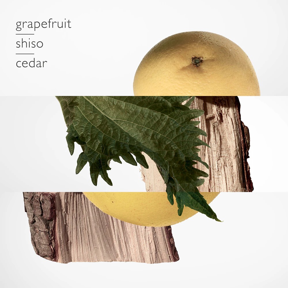 Terre d'Hermes - immagine 2