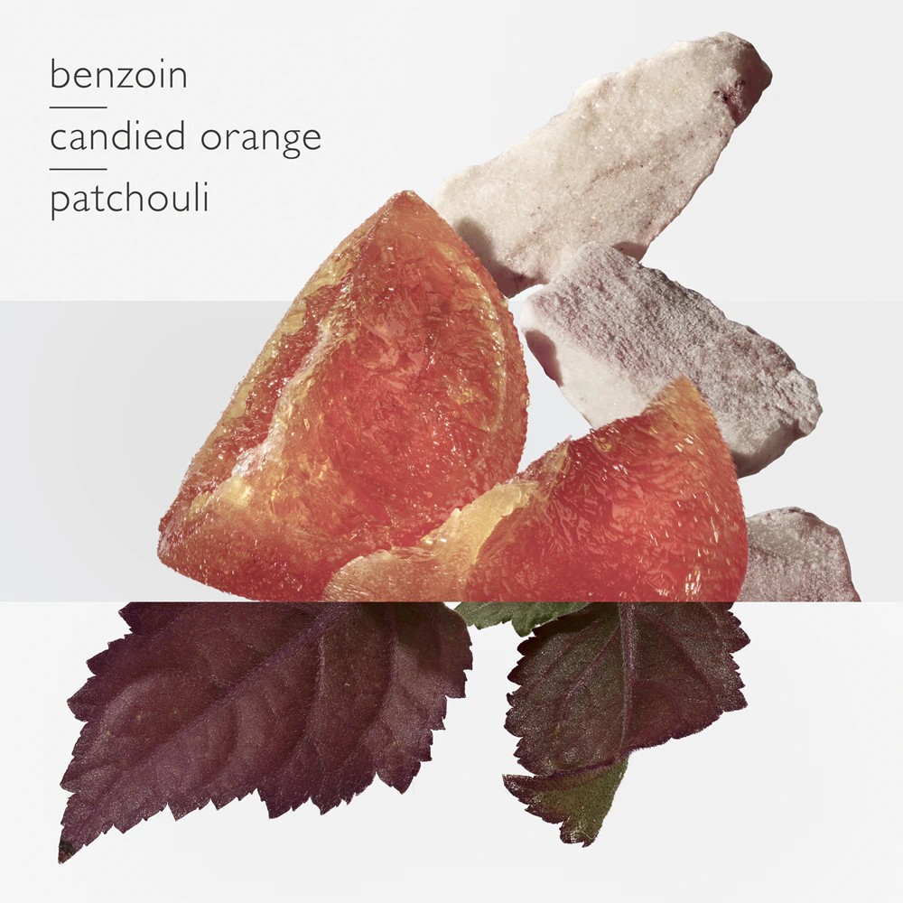 Elixir Des Merveilles - immagine 3