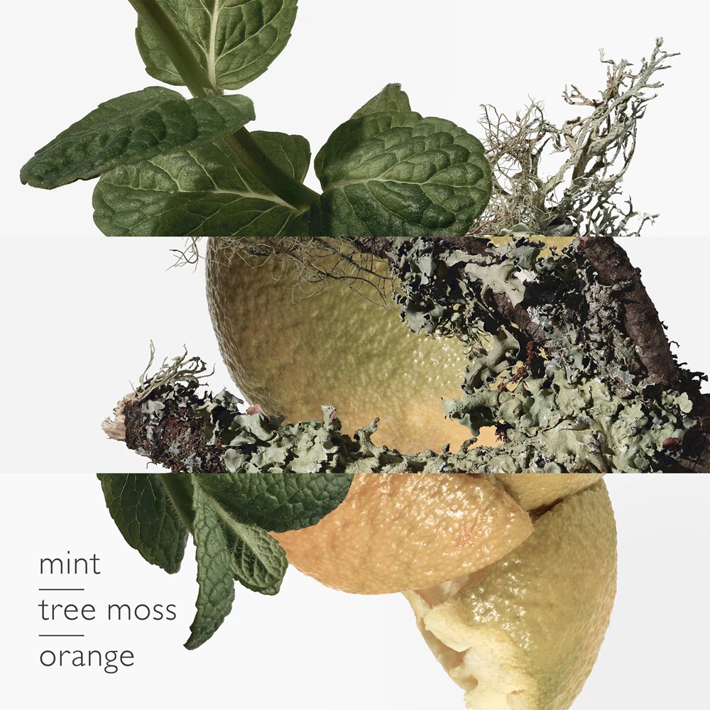 Eau D'Orange Verte - immagine 2