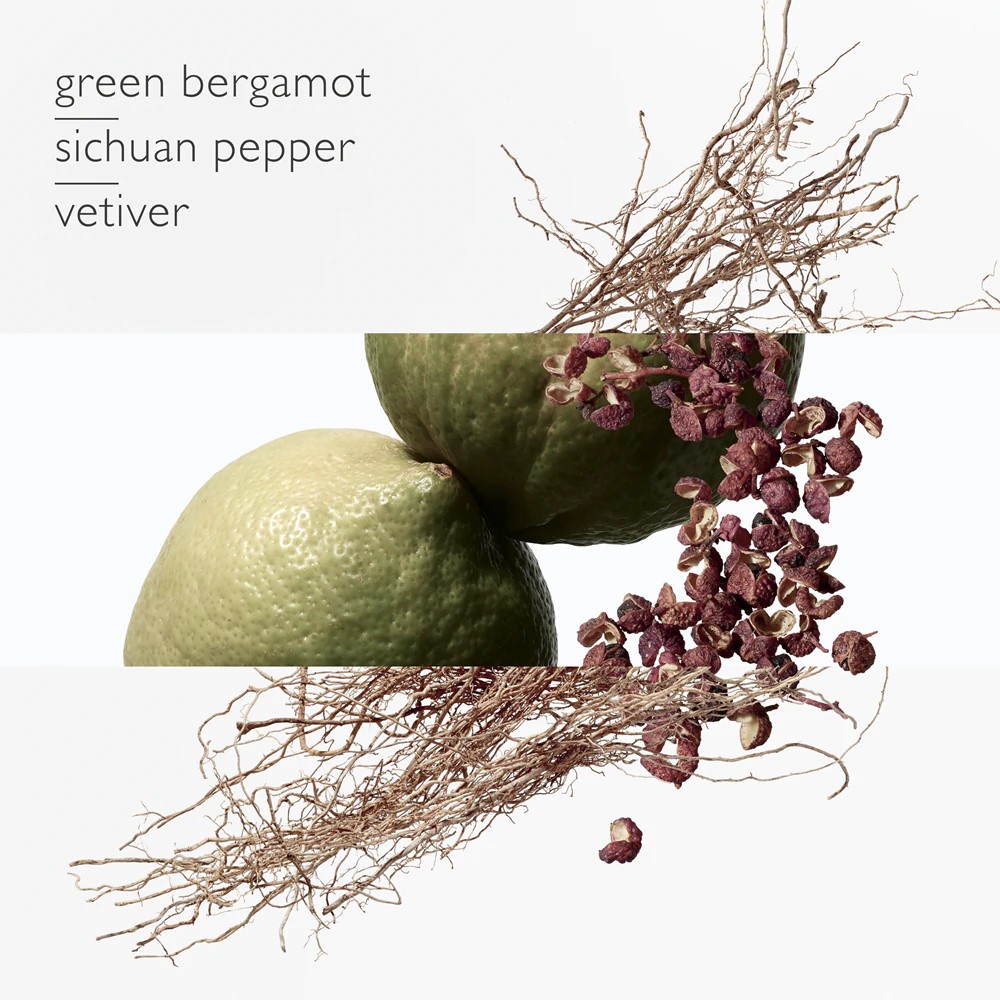 Terre d'Hermes Eau Intense Vetiver - immagine 3