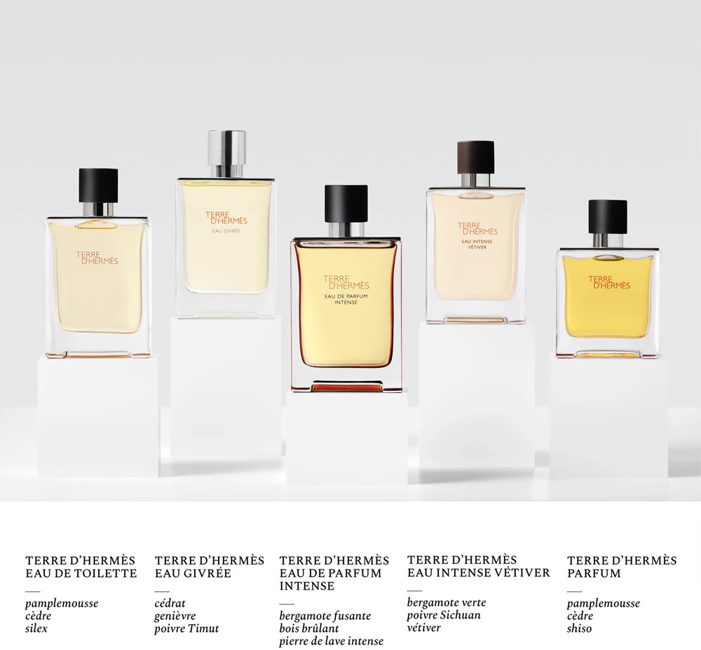 Terre d'Hermes Eau Intense Vetiver - immagine 5