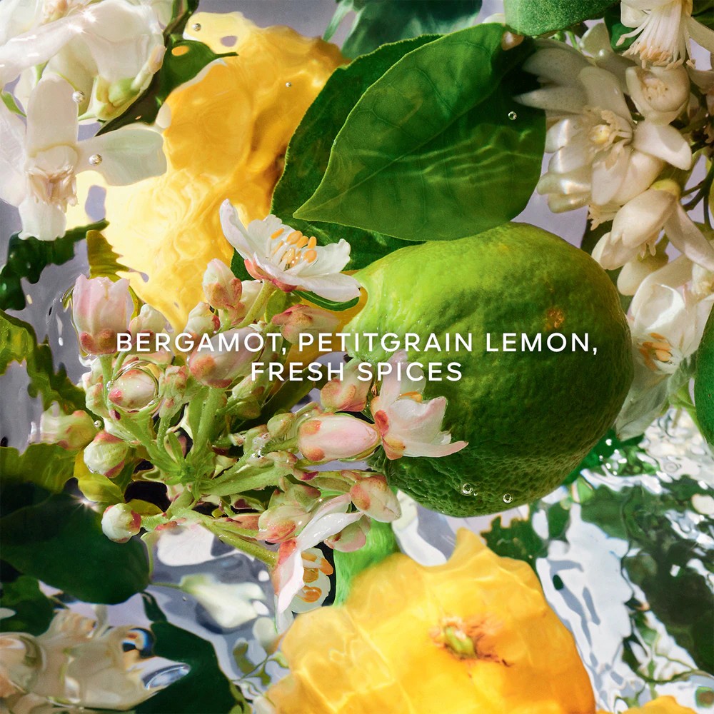 Aqua Allegoria Bergamote Calabria - immagine 4