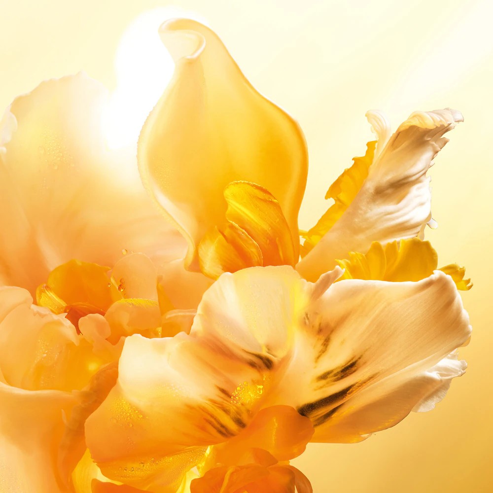 JAdore Eau De Parfum Roller-Pearl - immagine 4