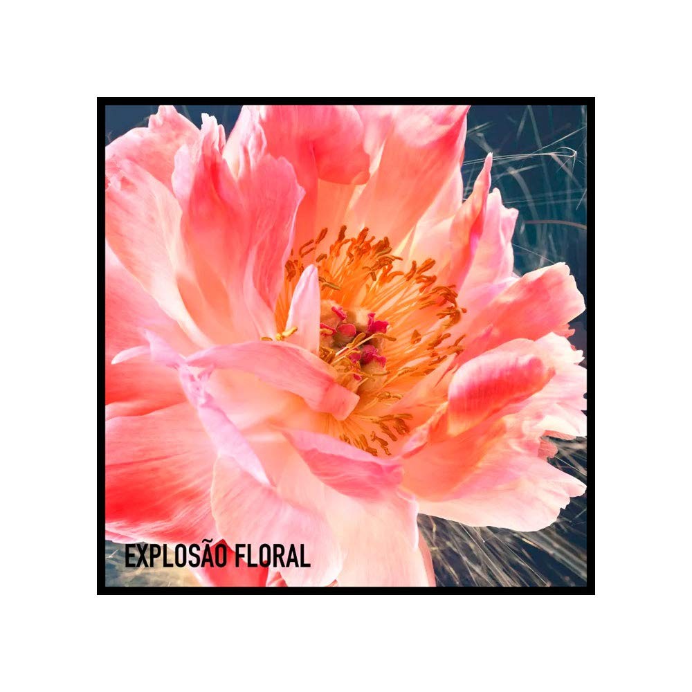 Joy Intense - immagine 5