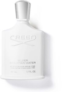 Silver Mountain Water