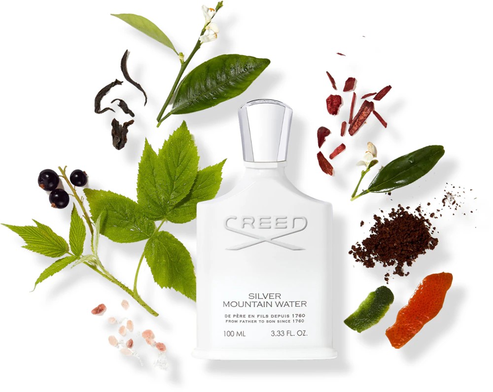 Silver Mountain Water - immagine 3