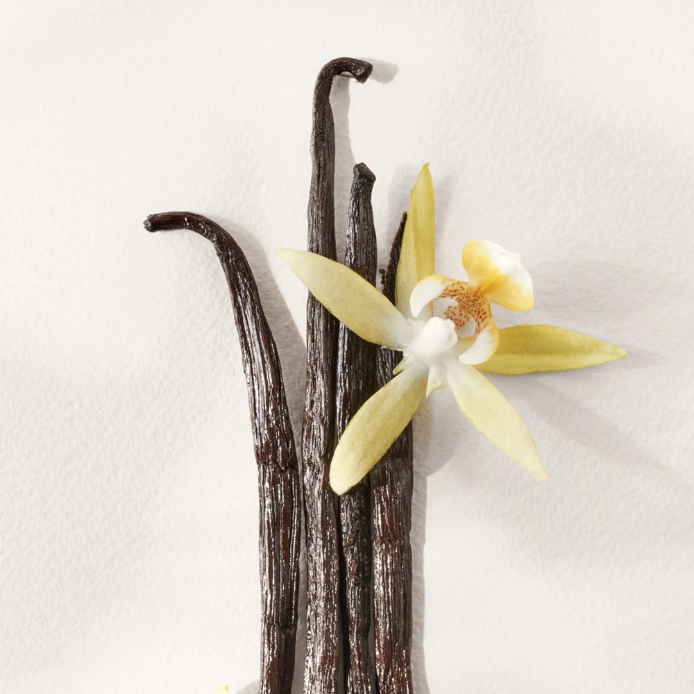 Polo Earth Antilles Vetiver - immagine 3