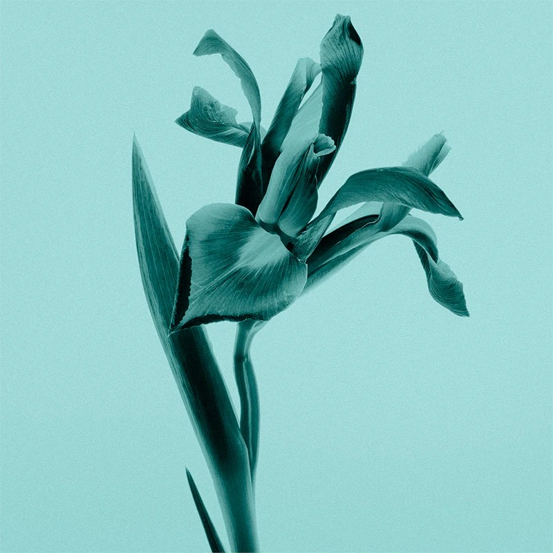 Intense Eau De Parfum Spray - immagine 5