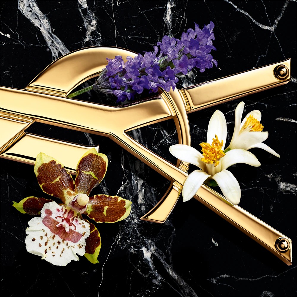 Libre Intense - immagine 3