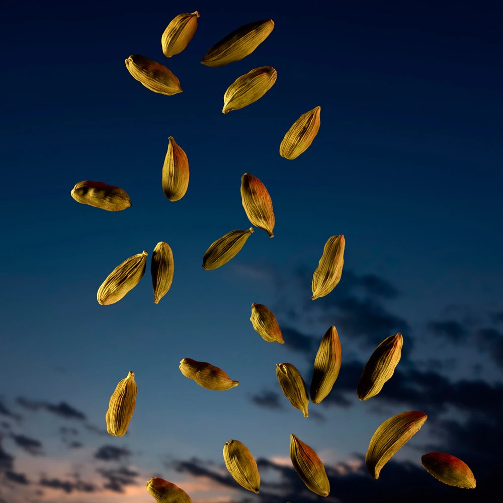 The Most Wanted Intense - immagine 4