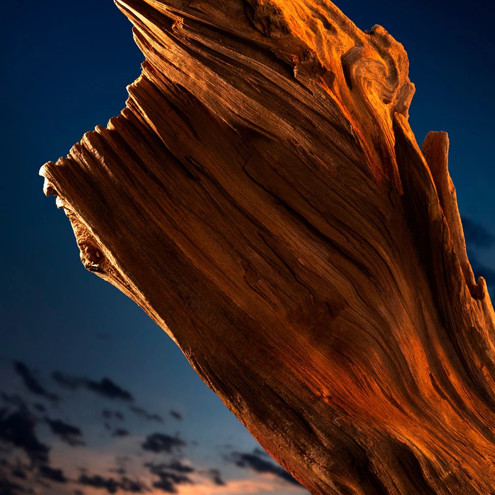 The Most Wanted Intense - immagine 5