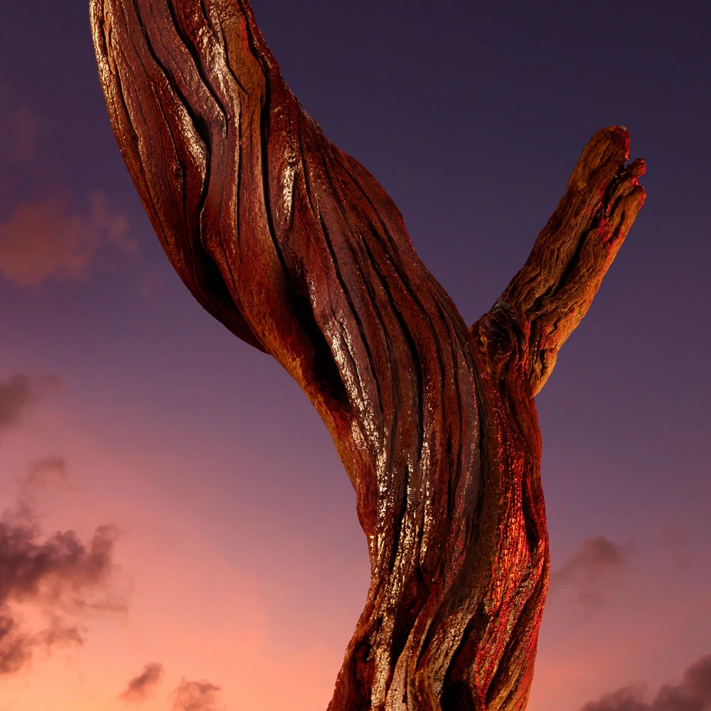 Wanted The Most Wanted Parfum - immagine 4