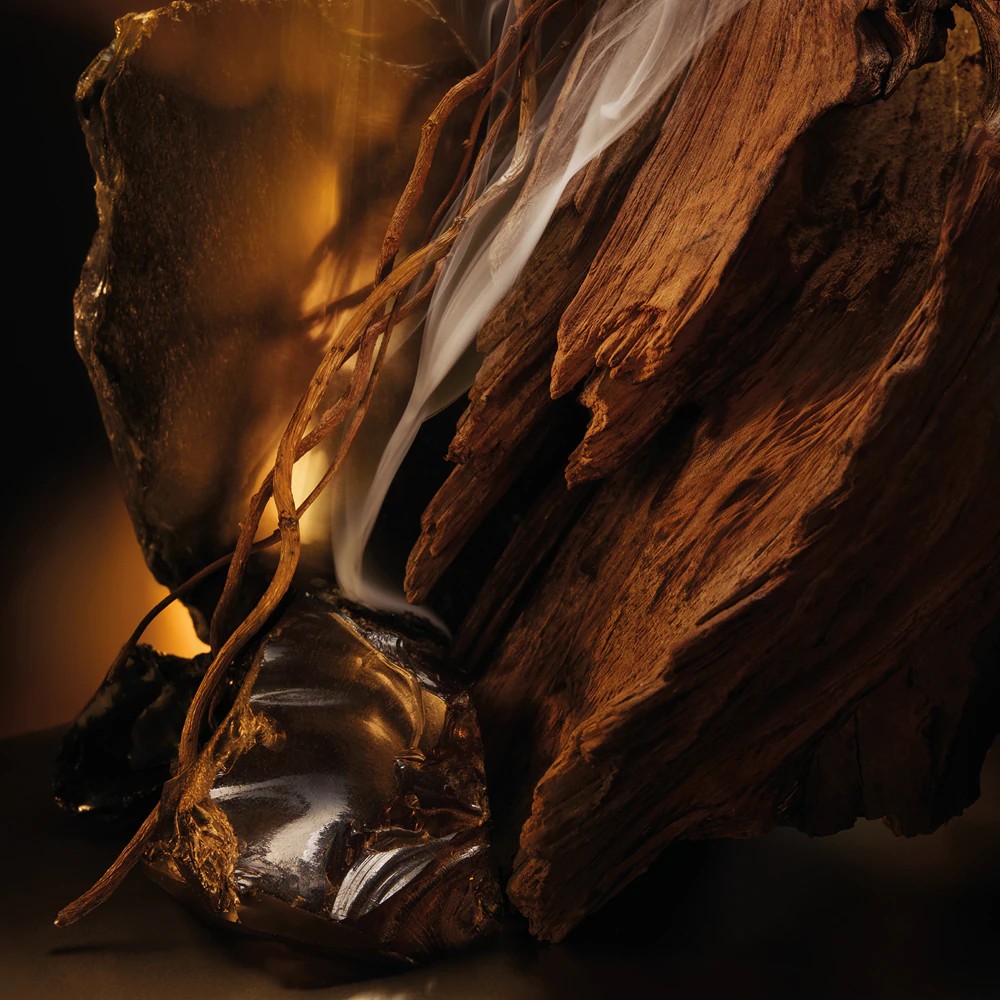 Bottled Elixir - immagine 4