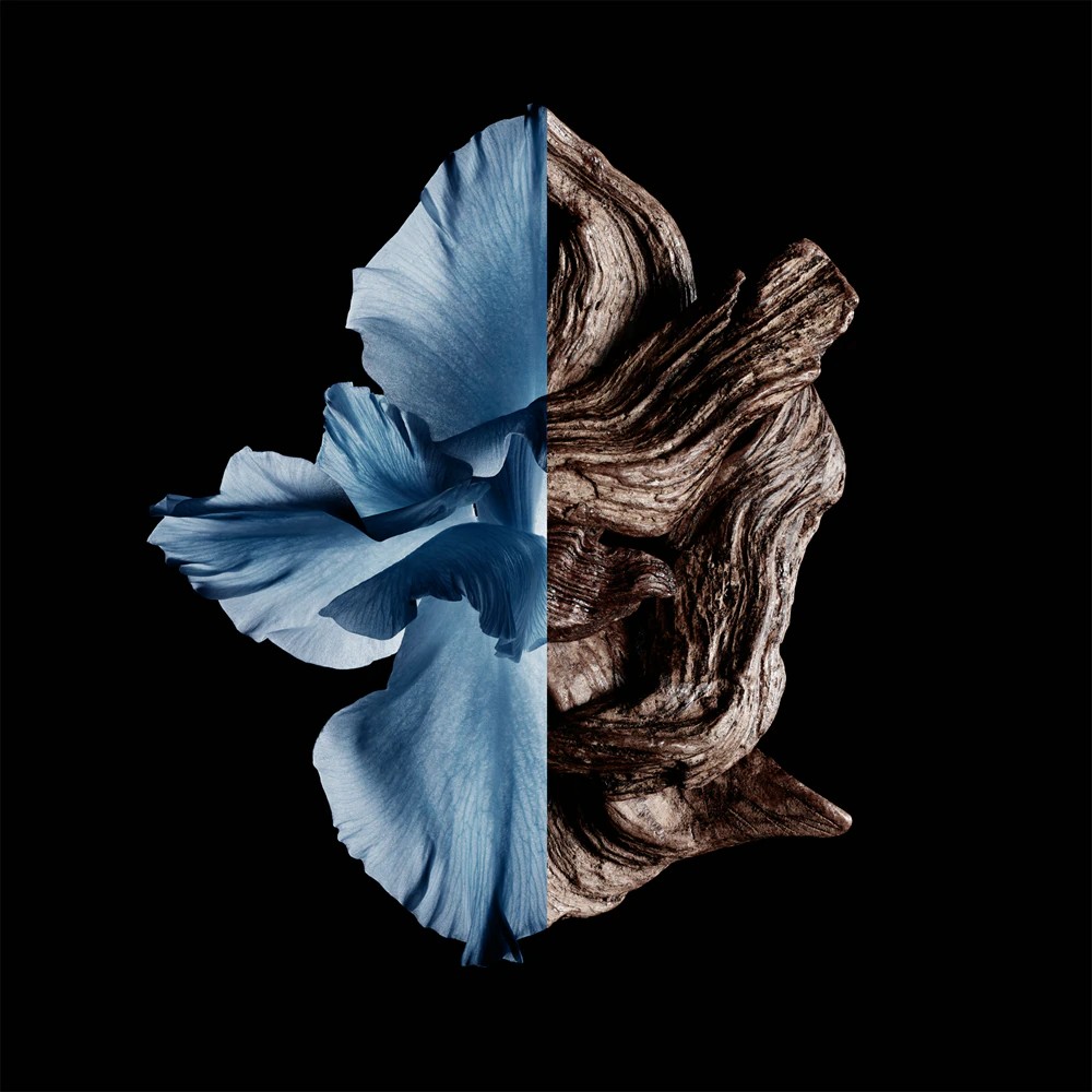 Gentleman Intense - immagine 3