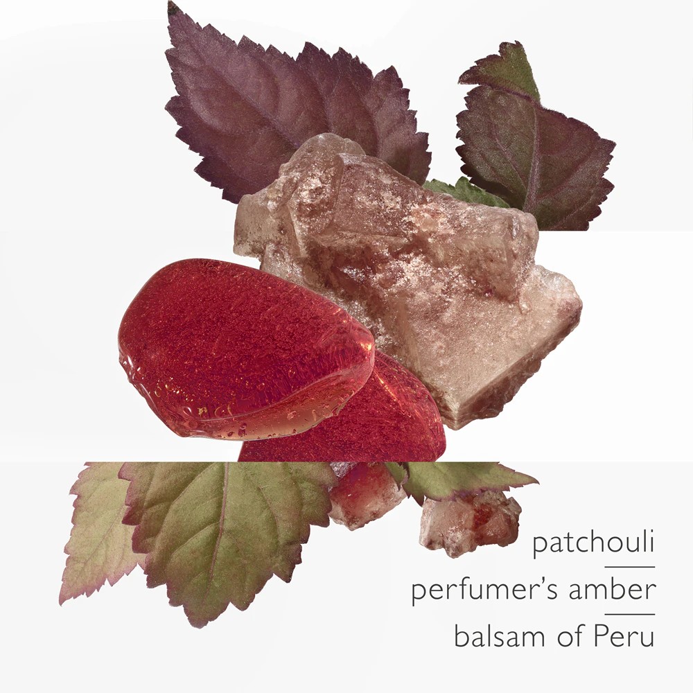 LAmbre Des Merveilles - immagine 3