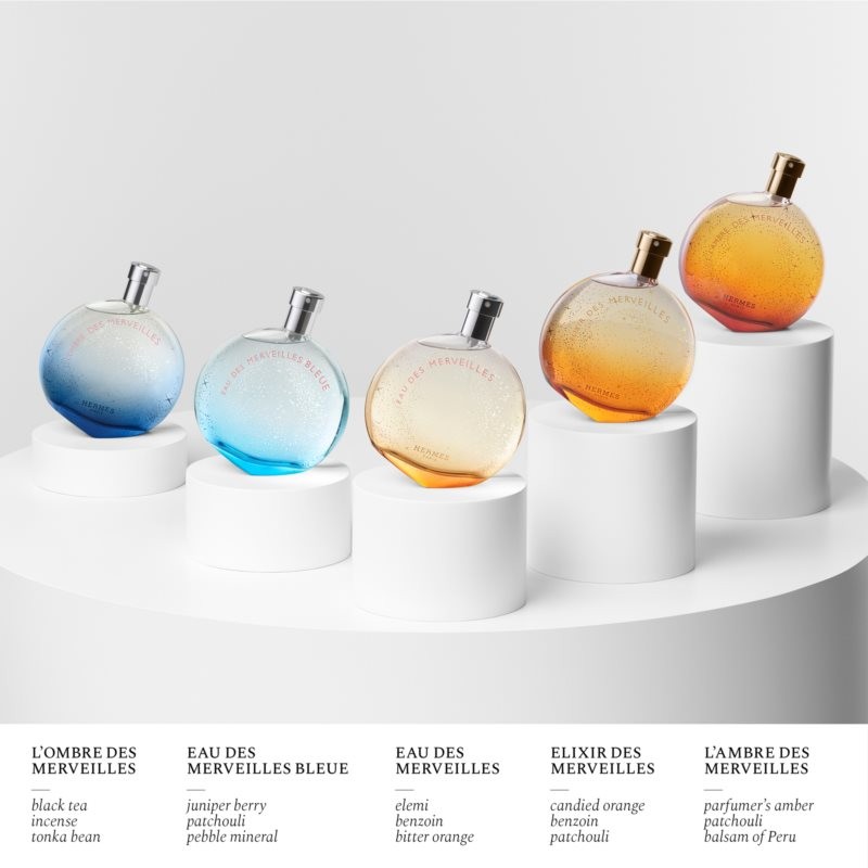 LAmbre Des Merveilles - immagine 5