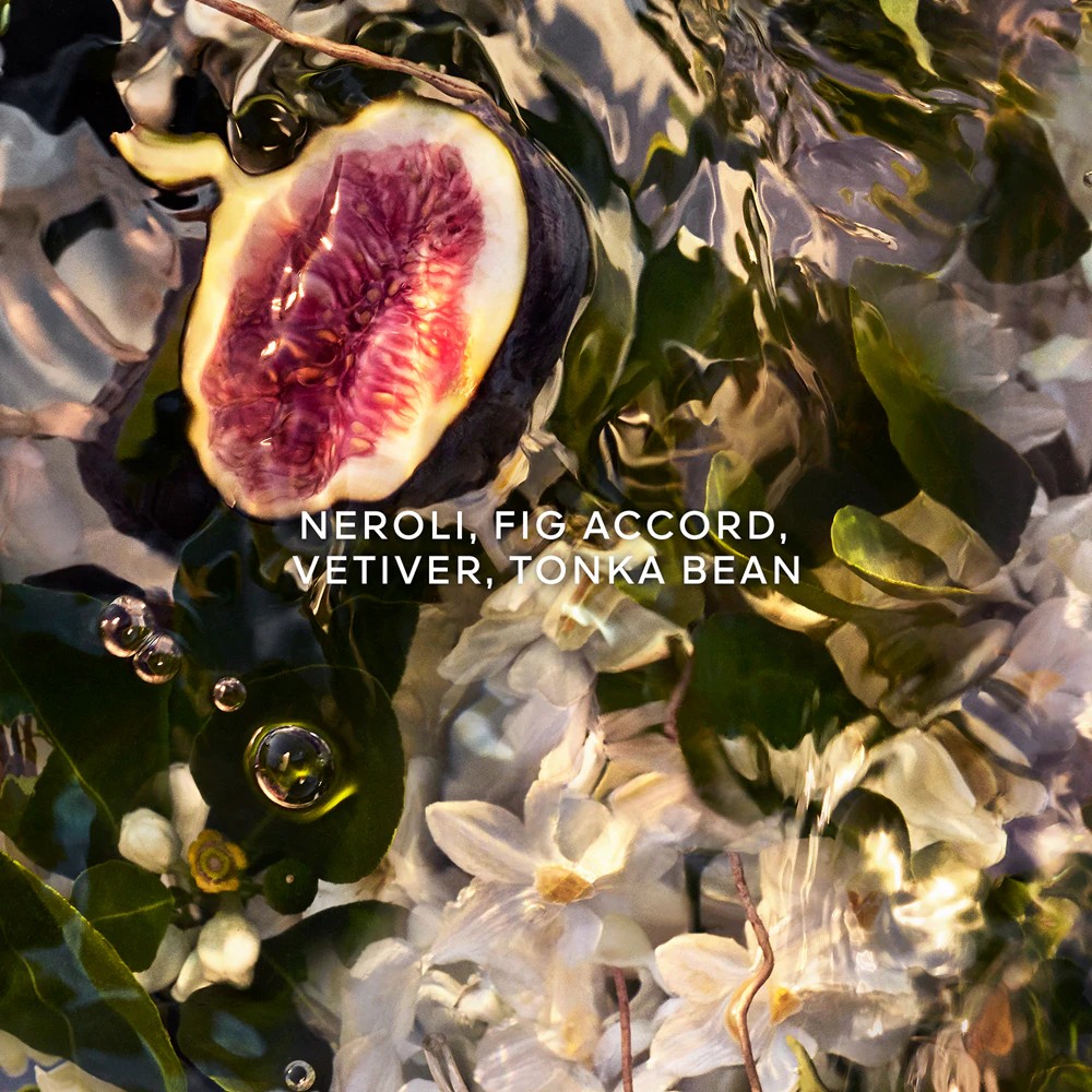 Aqua Allegoria Nerolia Vetiver Forte - immagine 4