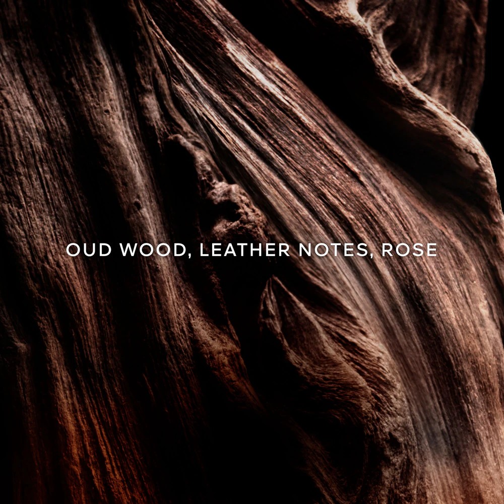 Absolus Allegoria Oud Essentiel - immagine 3