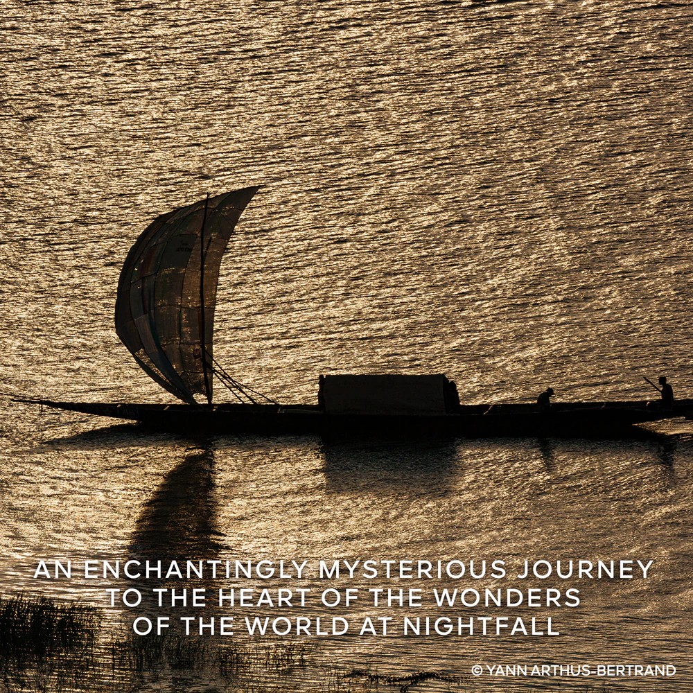 Absolus Allegoria Oud Essentiel - immagine 5