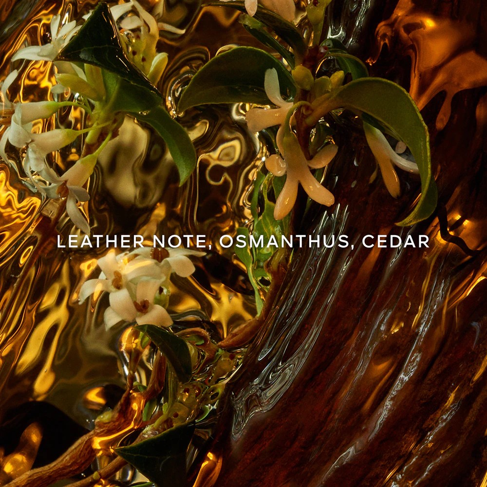 Absolus Allegoria Cuir Intense - immagine 4