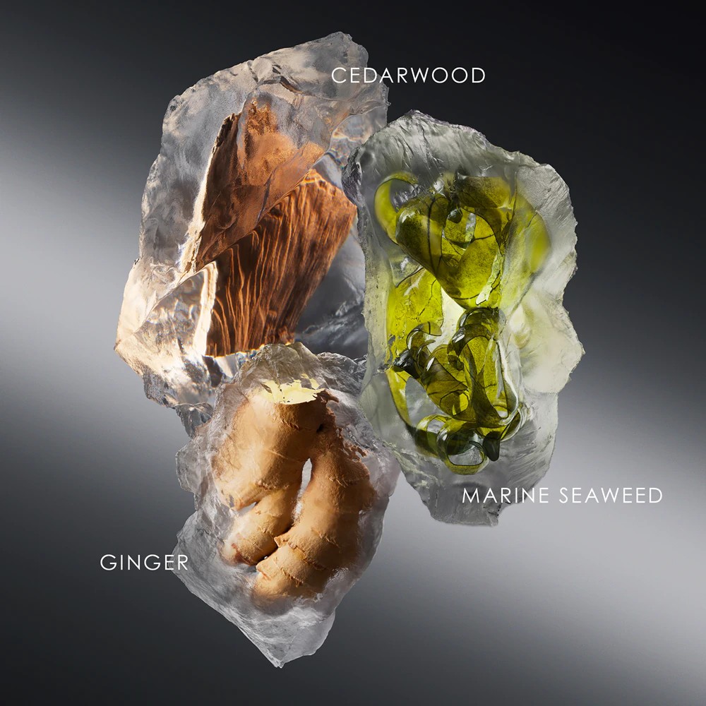 Le Sel d'Issey Eau de Toilette Refill - immagine 3