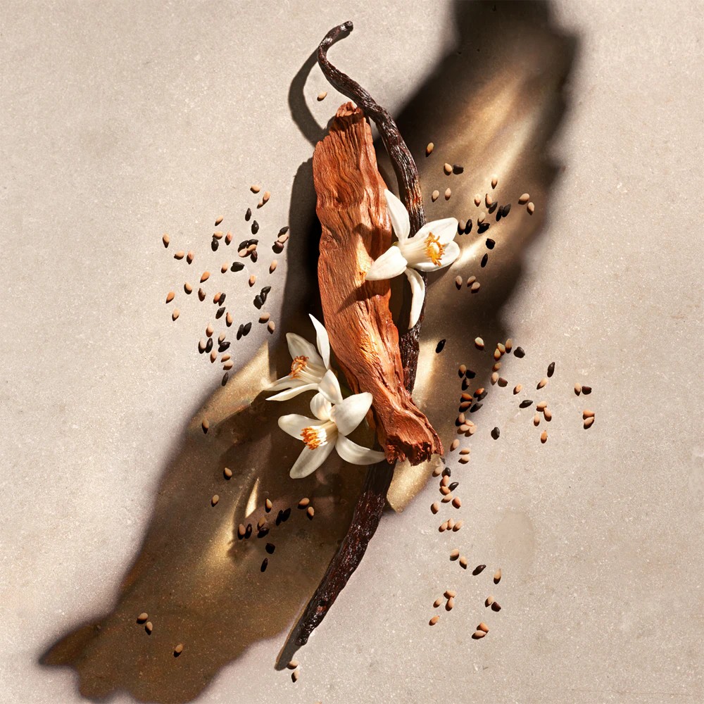 Zadig Eau de Parfum - immagine 2