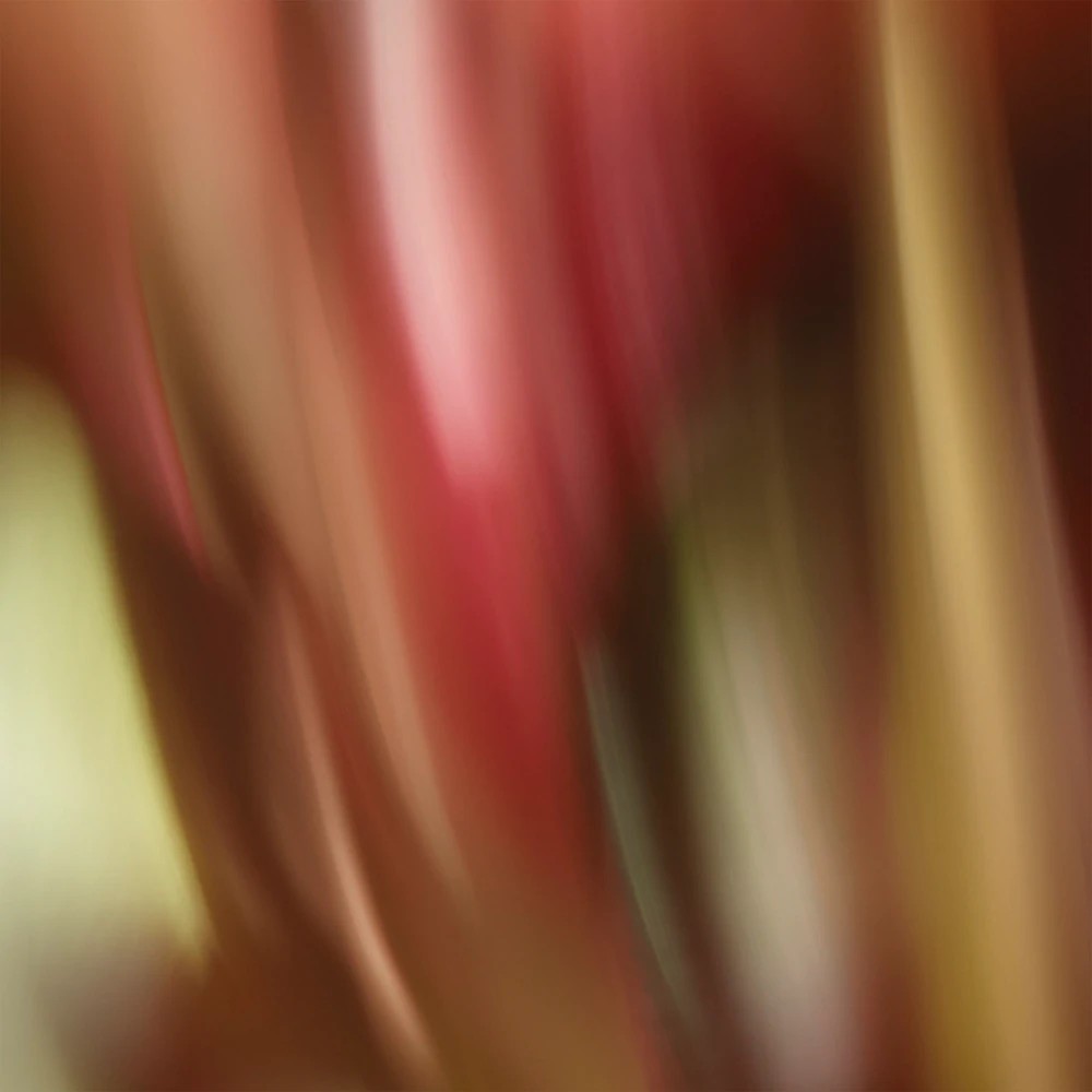 Eau Revee Daria - immagine 4