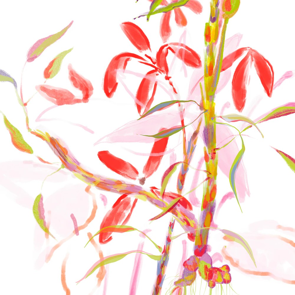 Eau Revee Daria - immagine 5