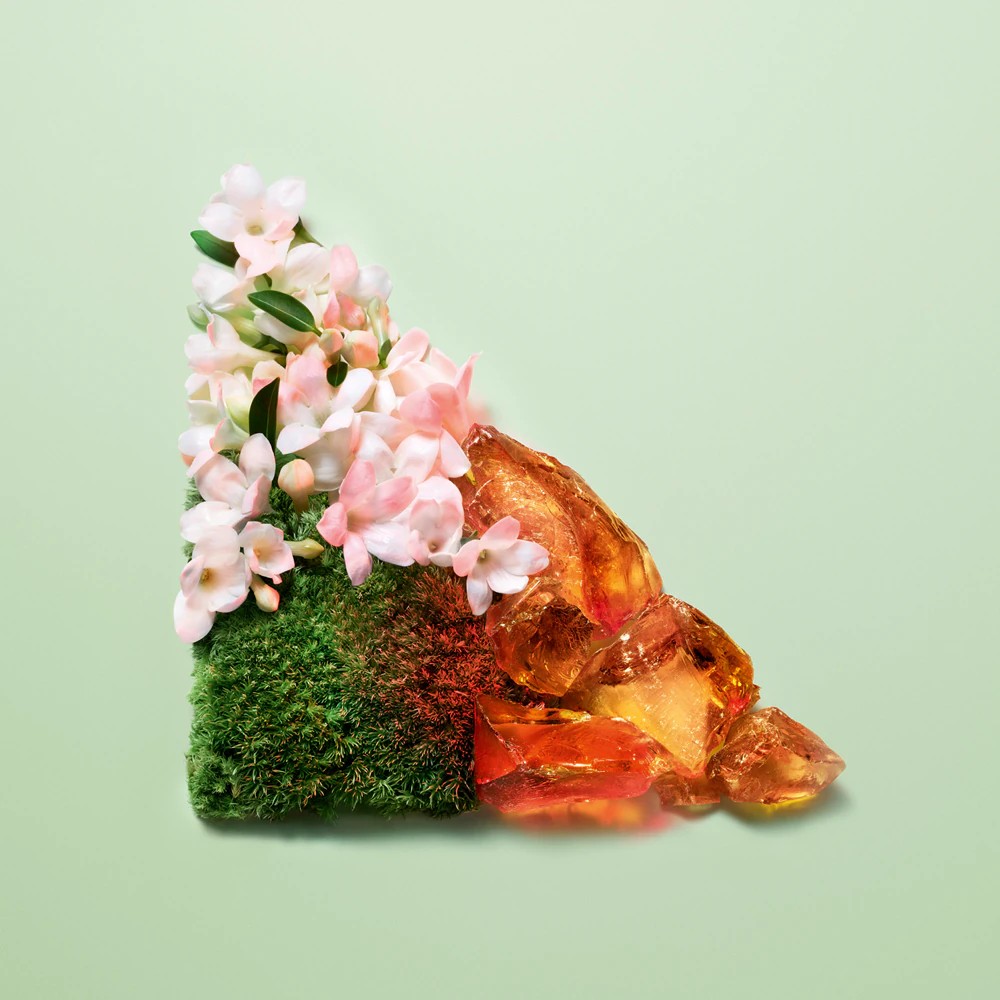 Paradoxe Intense - immagine 5