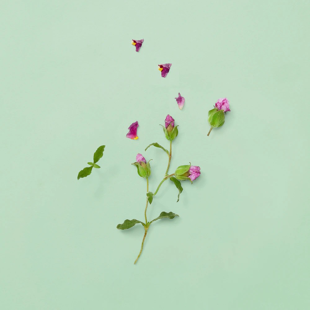 Guilty Pour Homme - immagine 4