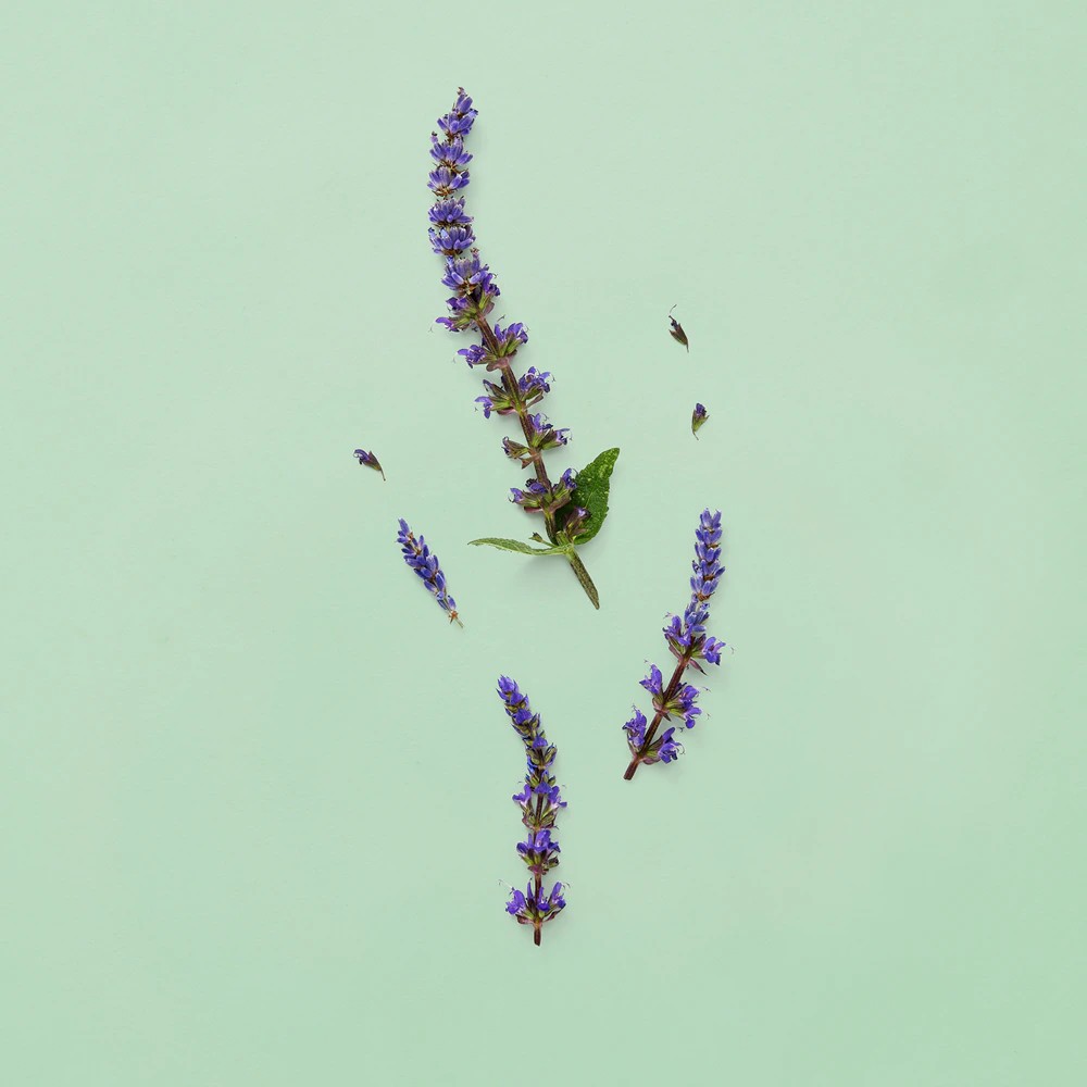 Guilty Pour Homme - immagine 5