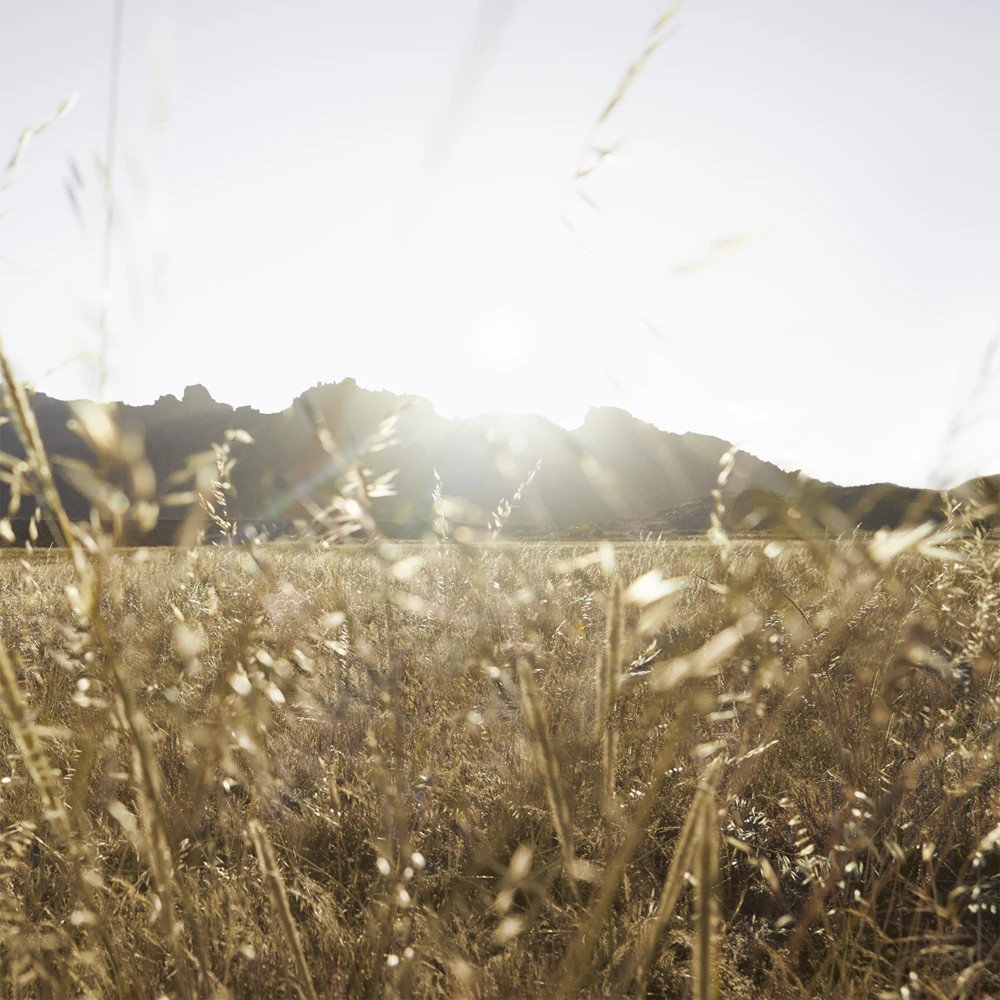 Goddess Eau De Parfum - immagine 5