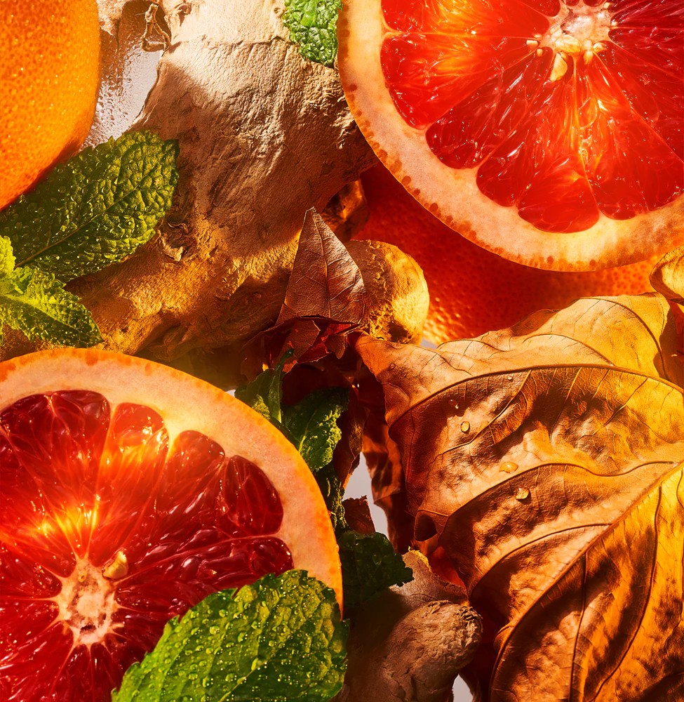 Burlington 1819 - immagine 3