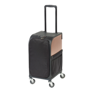 RollerCoaster StoolCase