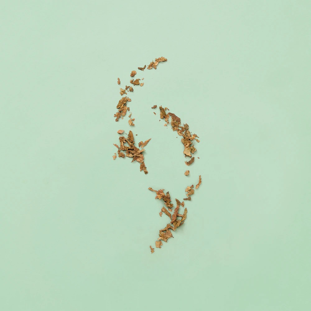 Guilty Absolute Eau De Parfum - immagine 4