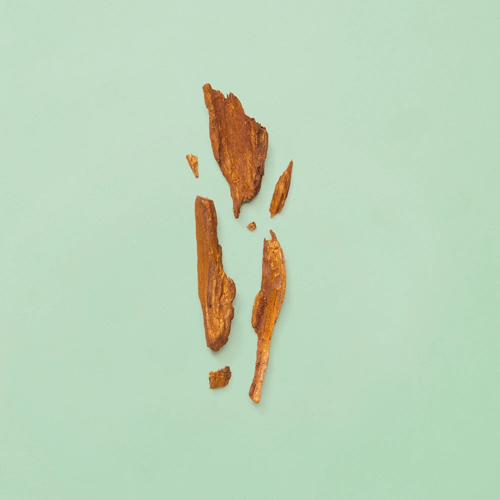 Guilty Absolute Eau De Parfum - immagine 5