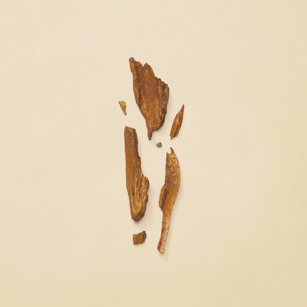 Guilty Pour Femme Eau de Parfum - immagine 4