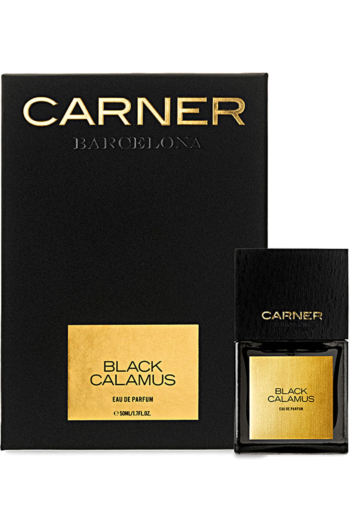 Black Calamus - immagine 2