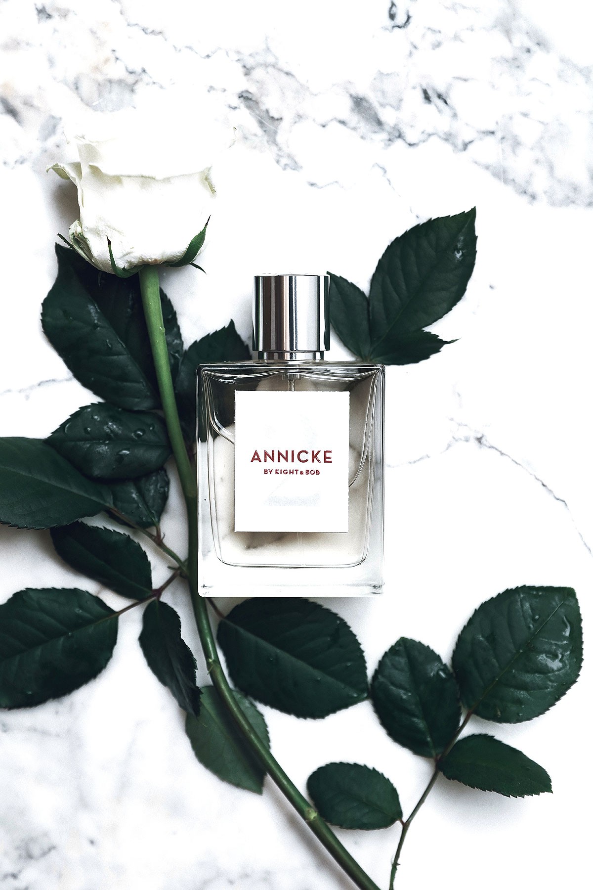Annicke 2 Eight & Bob Eau de Parfum 100ml - immagine 3