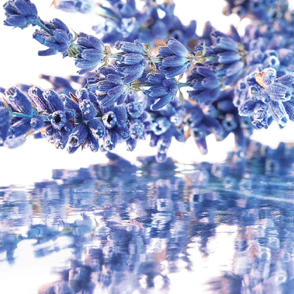 Mon Guerlain - immagine 2