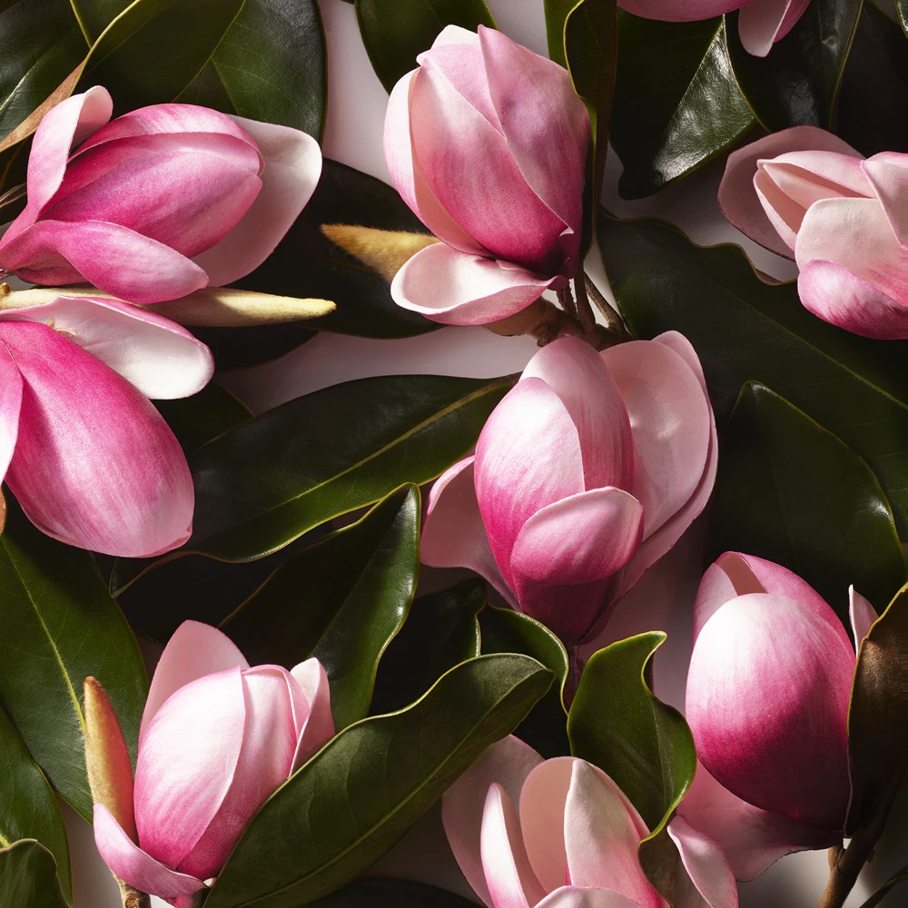 Ralph Eau De Toilette Spray - immagine 5