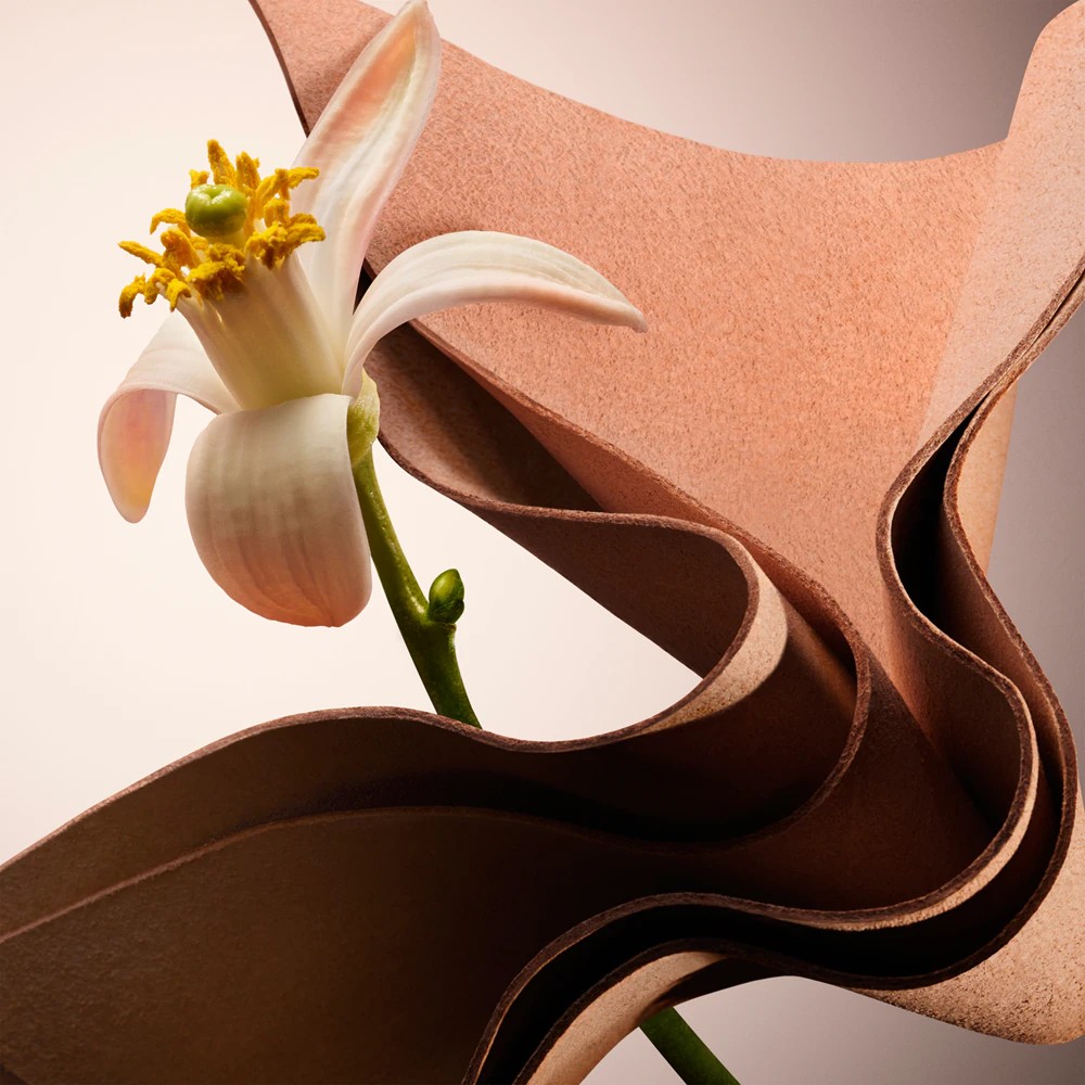 The Scent For Her Le Parfum - immagine 4