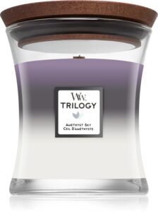 Woodwick Trilogy Amethyst Sky Medium Jar Candle