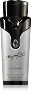 Magnificent Pour Homme