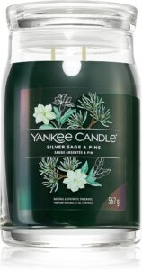 Silver Sage & Pine Large Jar