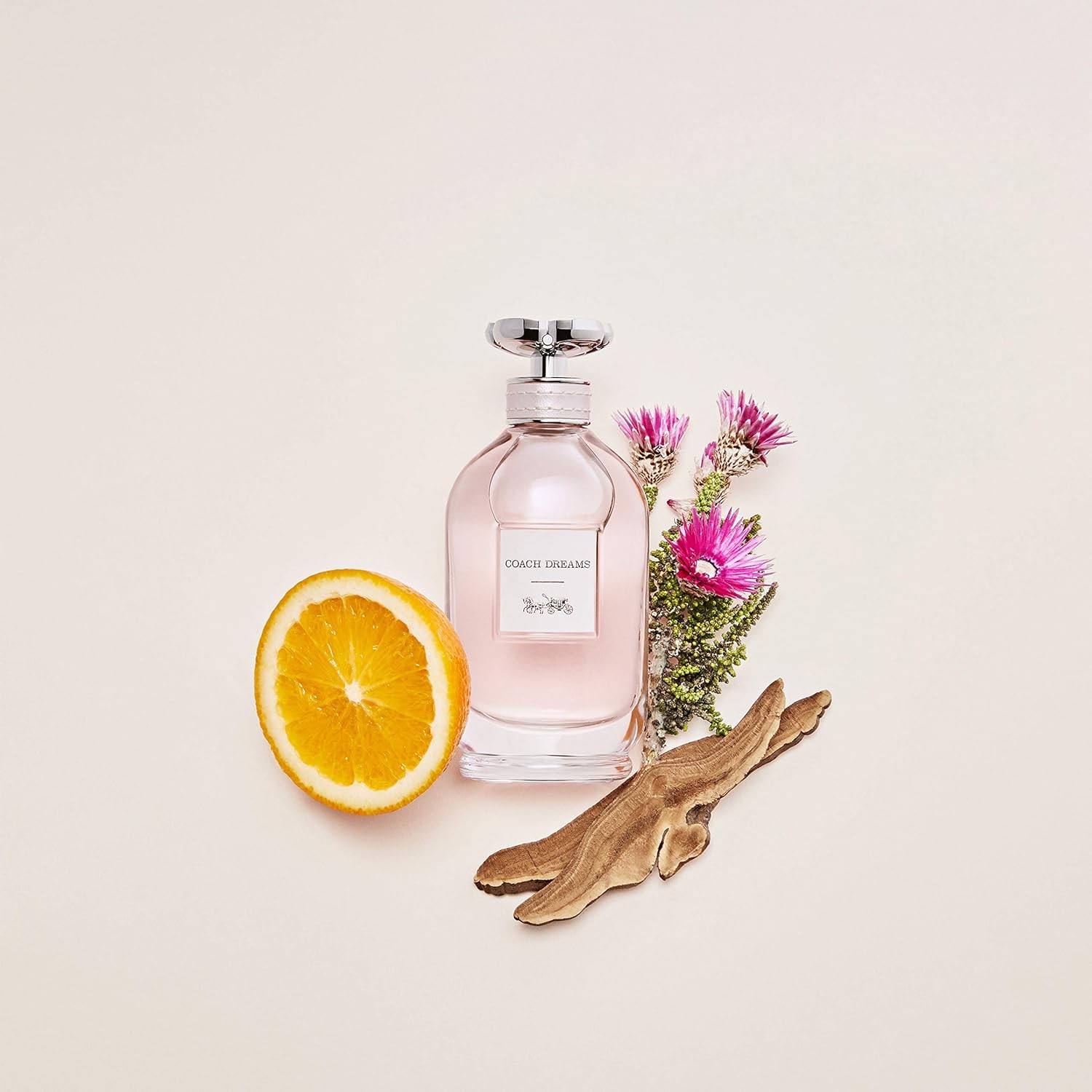 Dreams Eau De Parfum Spray - immagine 3