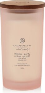 Stillness and Purity