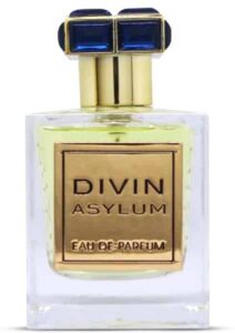 Divin Asylum
