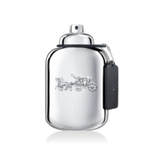 Platinum Man Eau De Parfum Spray